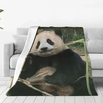Одеяло Fubao Aibao Panda Fu Bao из мягкого плюша, декоративные покрывала для удобства ухода за машиной Домашний декор - Изображение 1  