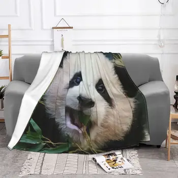 Одеяло FuBao Panda Fu Bao Теплое уютное Гипоаллергенное Покрывало для дивана в спальне - Изображение 2  