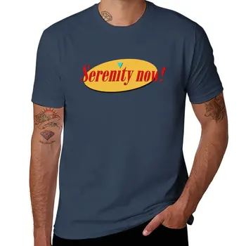 Новая Serenity Сейчас! Футболка, одежда в стиле хиппи, мужские тренировочные рубашки - Изображение 1  